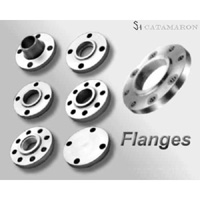 Stainless Steel Forged Flanges