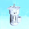 Electromagnetic Brake Motor