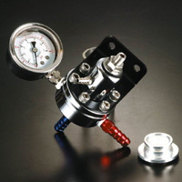 Fuel Pressure Regulator