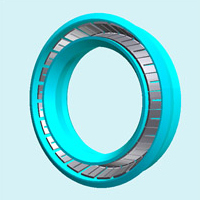 Spring Energized Seal