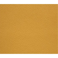 PU Leather