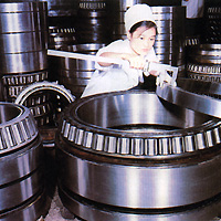 LYC Bearing Group