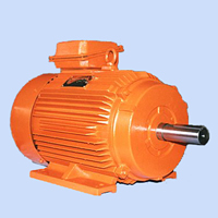 TSL Motor