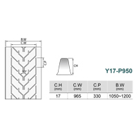 Chevron Belt