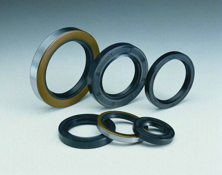 Oil Seal