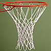 Basketball Net