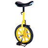 Unicycle