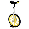 Unicycle