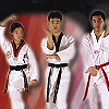 Taekwondo Gi