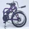 Folding Bike