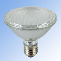 LED Lamp-PAR38