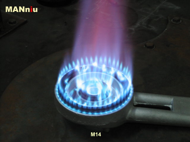 M5 Dual-piping gas burner head