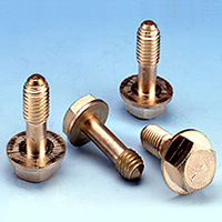 Penta (Washer) Head Bolts