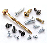 Self Tapping Screw